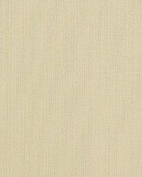 Remo F1665/10 CAC Raffia by  Clarke and Clarke 