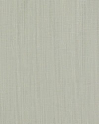 Remo F1665/12 CAC Smoke by  Clarke and Clarke 