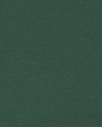 Lugo F1669/02 CAC Forest by  Clarke and Clarke 