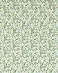 Golden Lily F1677/05 CAC Apple/blush by  Clarke and Clarke 