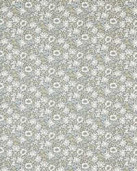 Mallow F1680/01 CAC Slate/dove by  Clarke and Clarke 