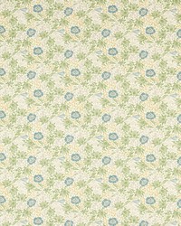 Mallow F1680/02 CAC Apple/linen by  Clarke and Clarke 