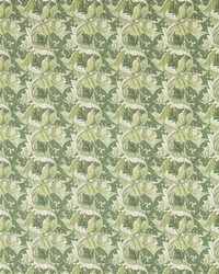 Acanthus F1681/02 CAC Apple/sage by  Clarke and Clarke 