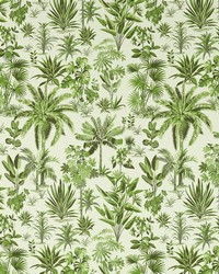 Malindi F1711/03 CAC Palm by  Clarke and Clarke 