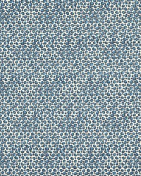 Pokot F1714/01 CAC Caribbean by   