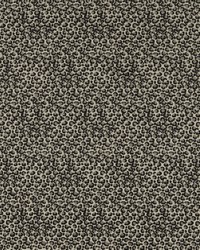 Pokot F1714/04 CAC Noir by   