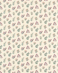 Leiden F1736/05 CAC Teal Berry by   