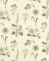 Roseraie F1738/05 CAC Sage by   