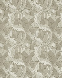 Acanthus Jacquard F1740/04 CAC Natural by   