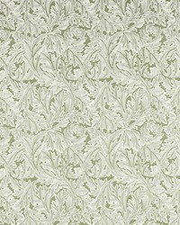 Acanthus Weave F1741/04 CAC Sage by   