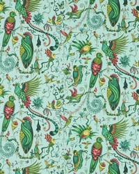 Quetzal F1758/01 CAC Aqua by   