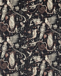 Quetzal Velvet F1759/01 CAC Charcoal by   