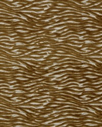 Wildstripe F1762/01 CAC Bronze by   