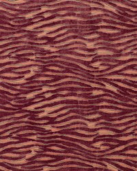 Wildstripe F1762/02 CAC Coral by   
