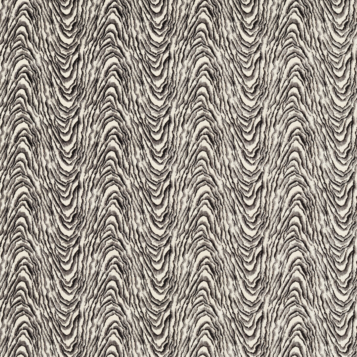Delvoye Velvet F1765/03 CAC Noir by   