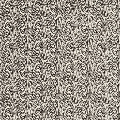 Clarke and Clarke DELVOYE VELVET NOIR