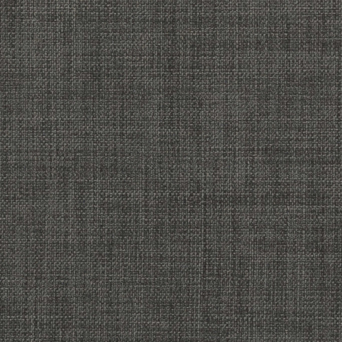 Linoso Wide Width F1777/11 CAC Graphite by   