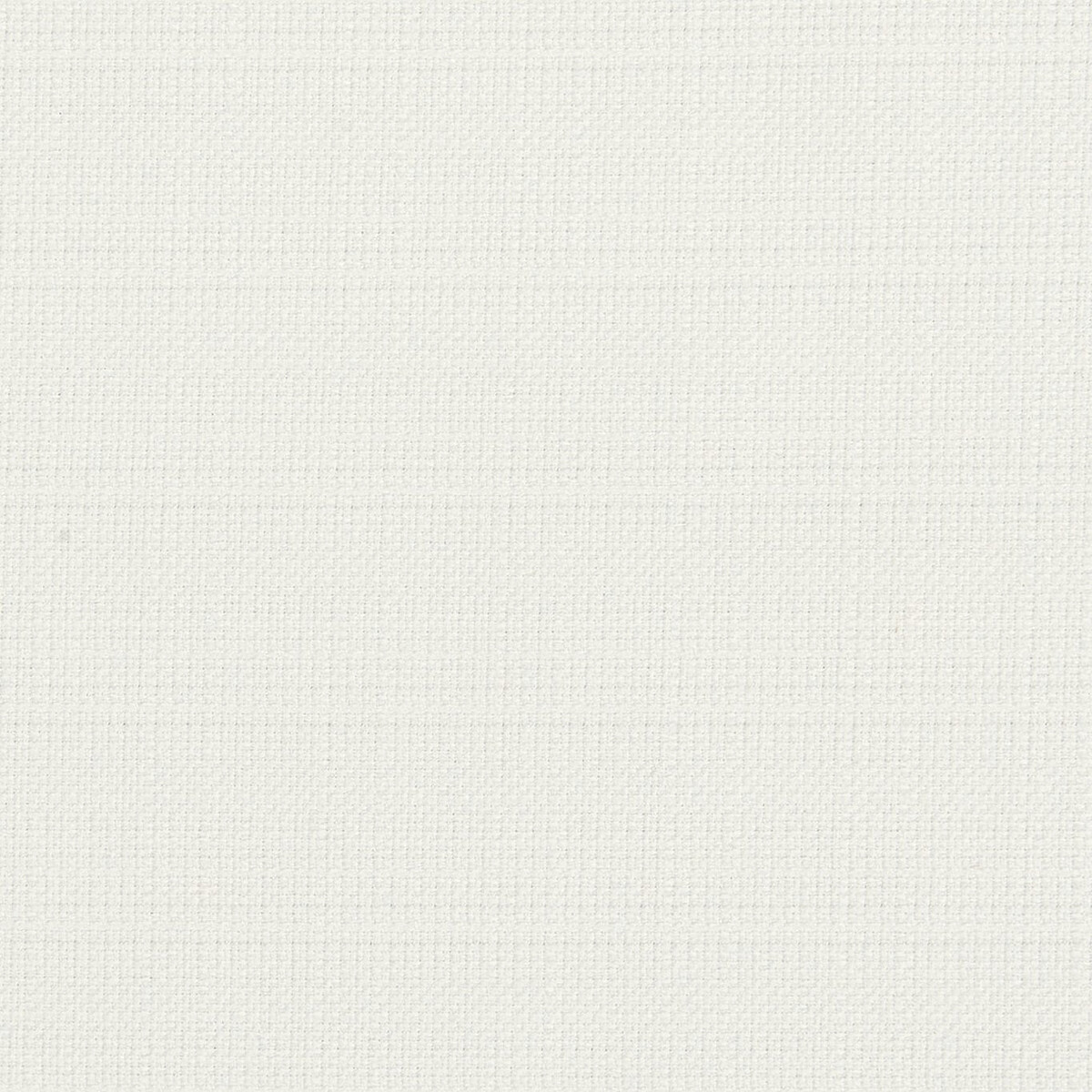 Linoso Wide Width F1777/19 CAC Polar by   