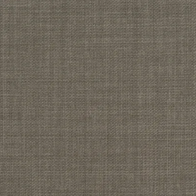 Clarke and Clarke LINOSO WIDE WIDTH TAUPE