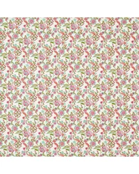 Camellia F1778/03 CAC Summer by   