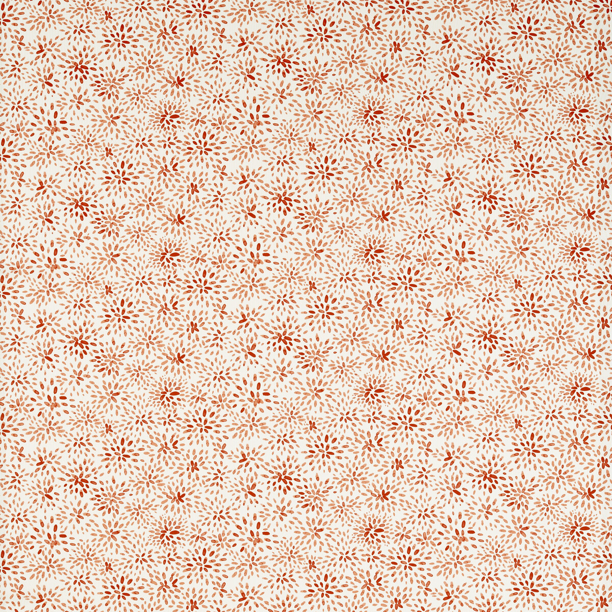 Cara F1779/04 CAC Spice by   