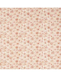 Cara F1779/04 CAC Spice by   