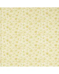 Cara F1779/05 CAC Sunshine by   