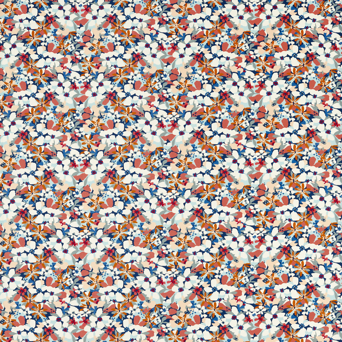 Clementine Midnight Spice F1780/02 CAC  by   