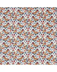 Clementine Midnight Spice F1780/02 CAC  by   