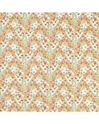 Clementine F1780/03 CAC Spice by   