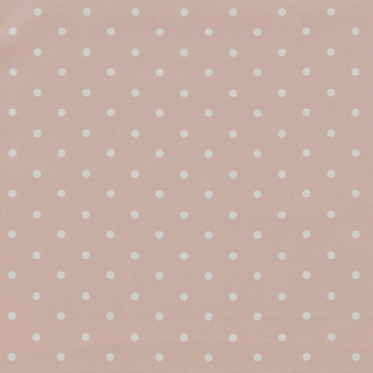 Dotty F1781/01 CAC Blush by   