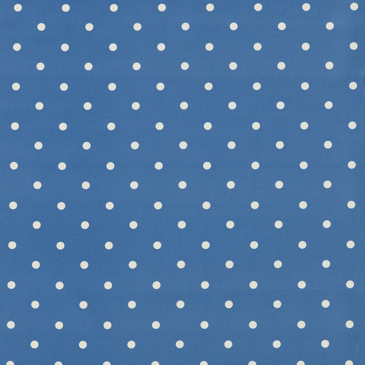 Dotty F1781/02 CAC Cobalt by   