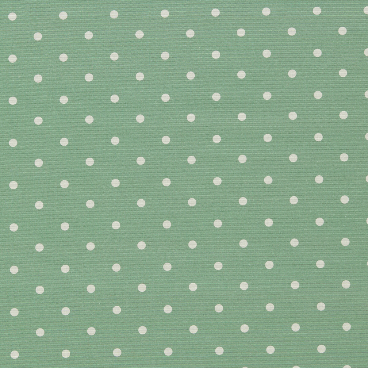 Dotty F1781/03 CAC Jade by   