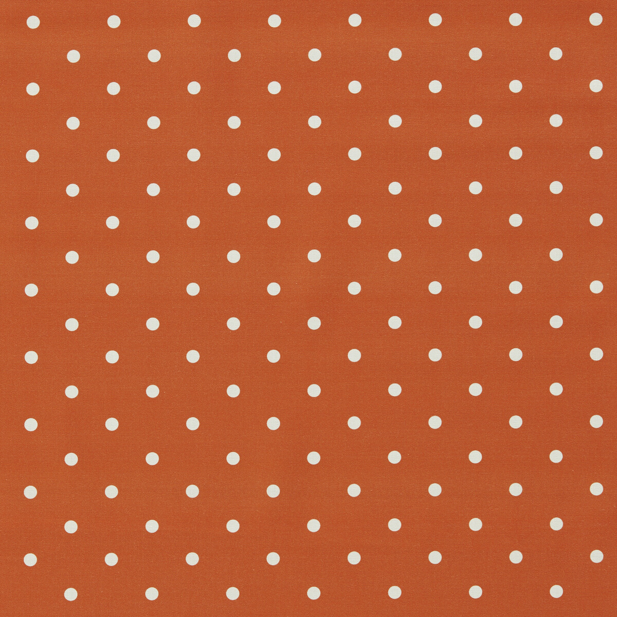 Dotty F1781/04 CAC Sunset by   