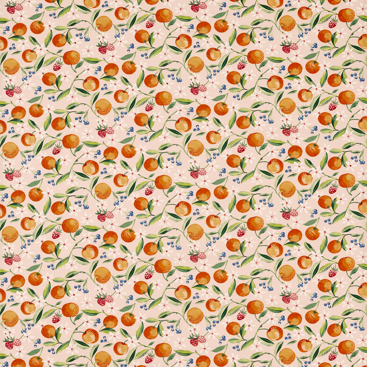 Orange Blossom F1784/01 CAC Blush by   