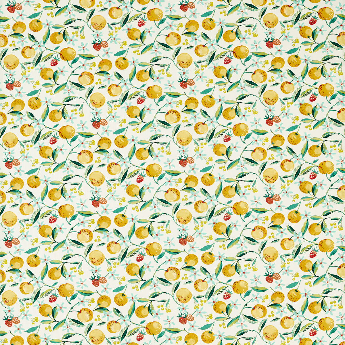 Orange Blossom F1784/02 CAC Citron by   