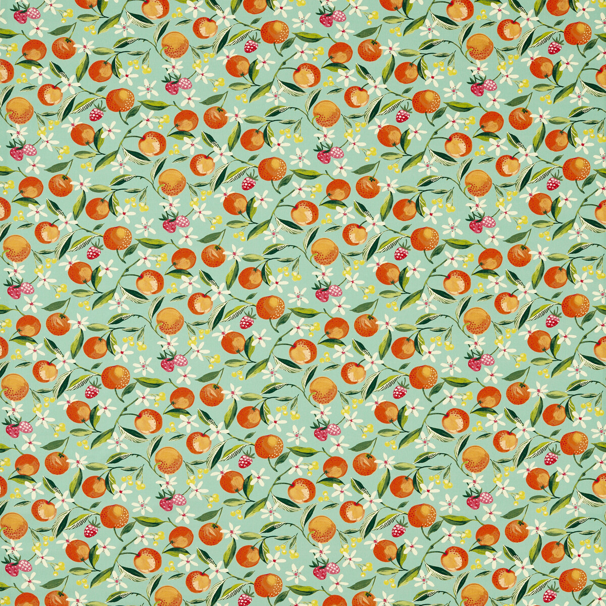 Orange Blossom F1784/03 CAC Jade by   