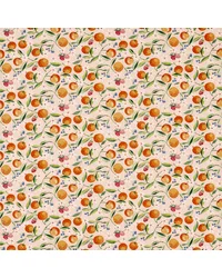 Orange Blossom F1784/01 CAC Blush by   