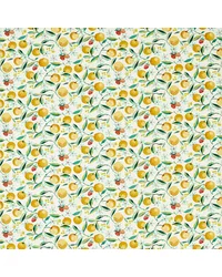 Orange Blossom F1784/02 CAC Citron by   