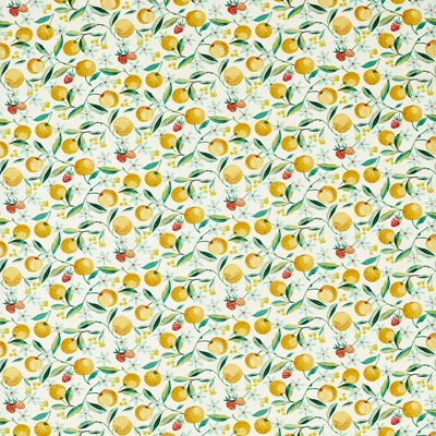 Clarke and Clarke ORANGE BLOSSOM CITRON