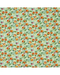 Orange Blossom F1784/03 CAC Jade by   