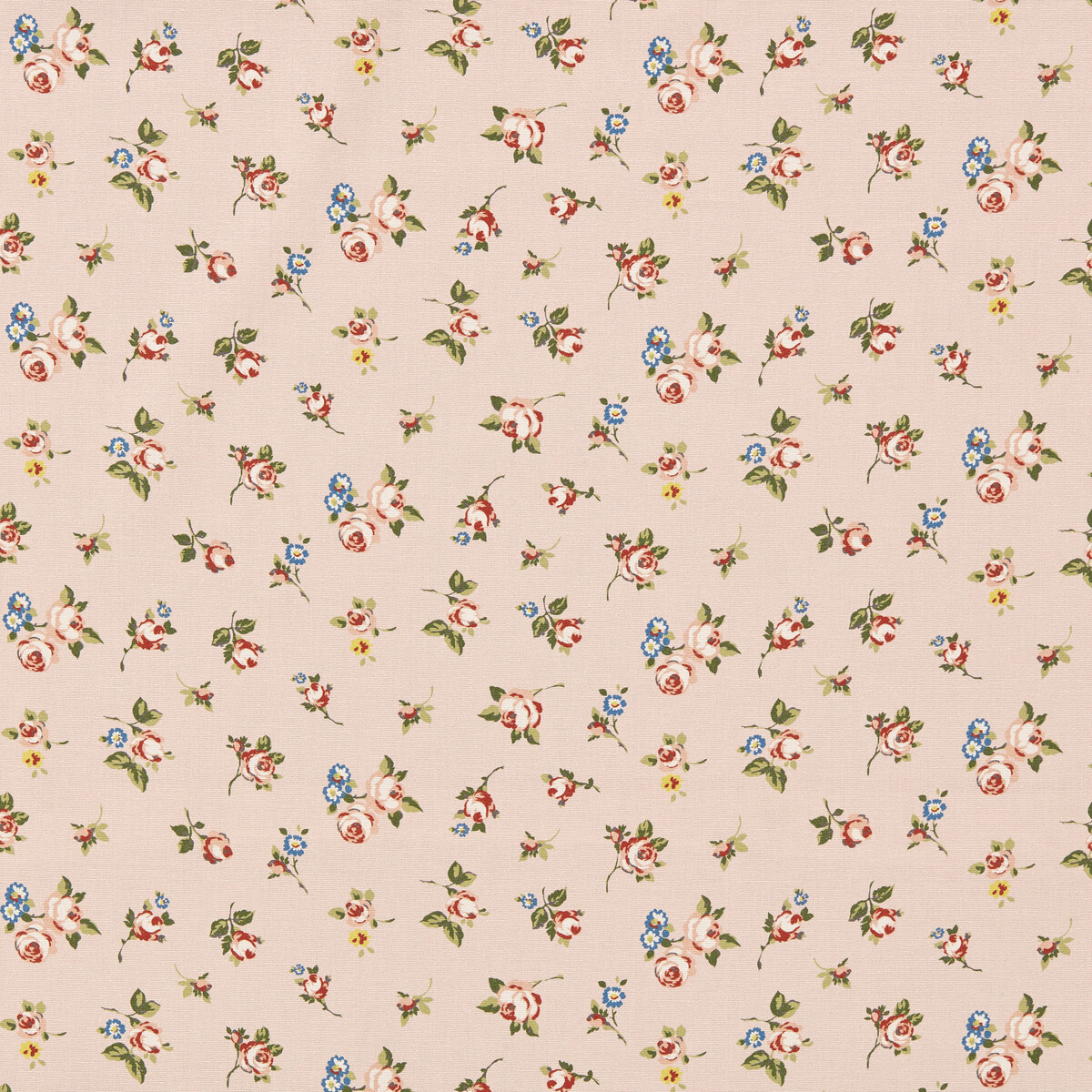 Rosebud F1785/01 CAC Blush by   