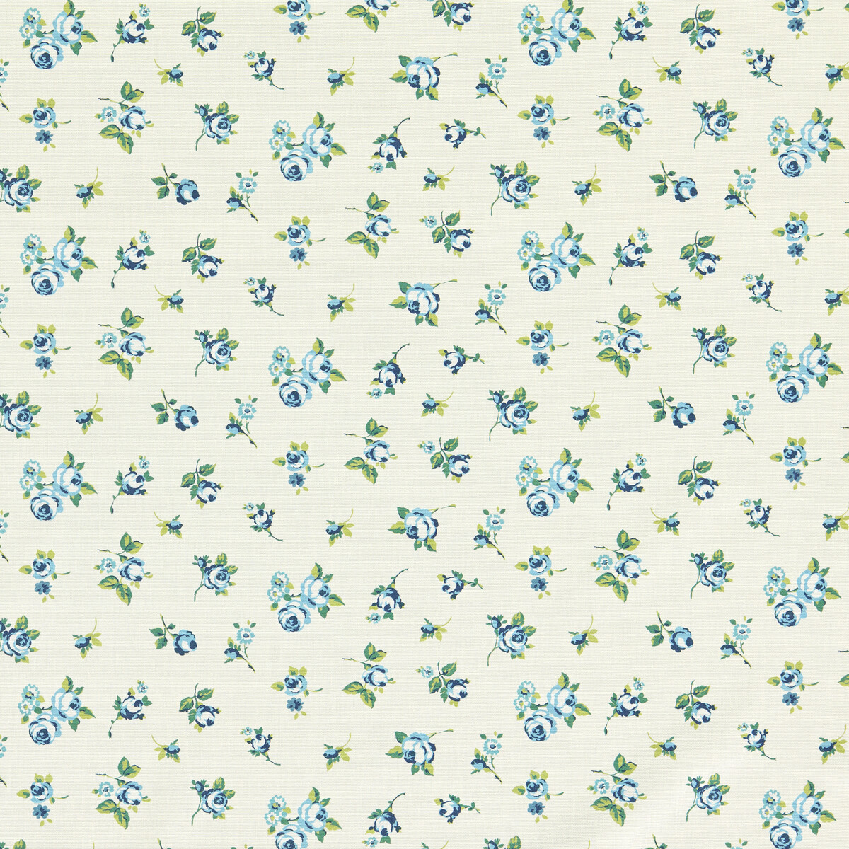 Rosebud F1785/02 CAC Cobalt by   