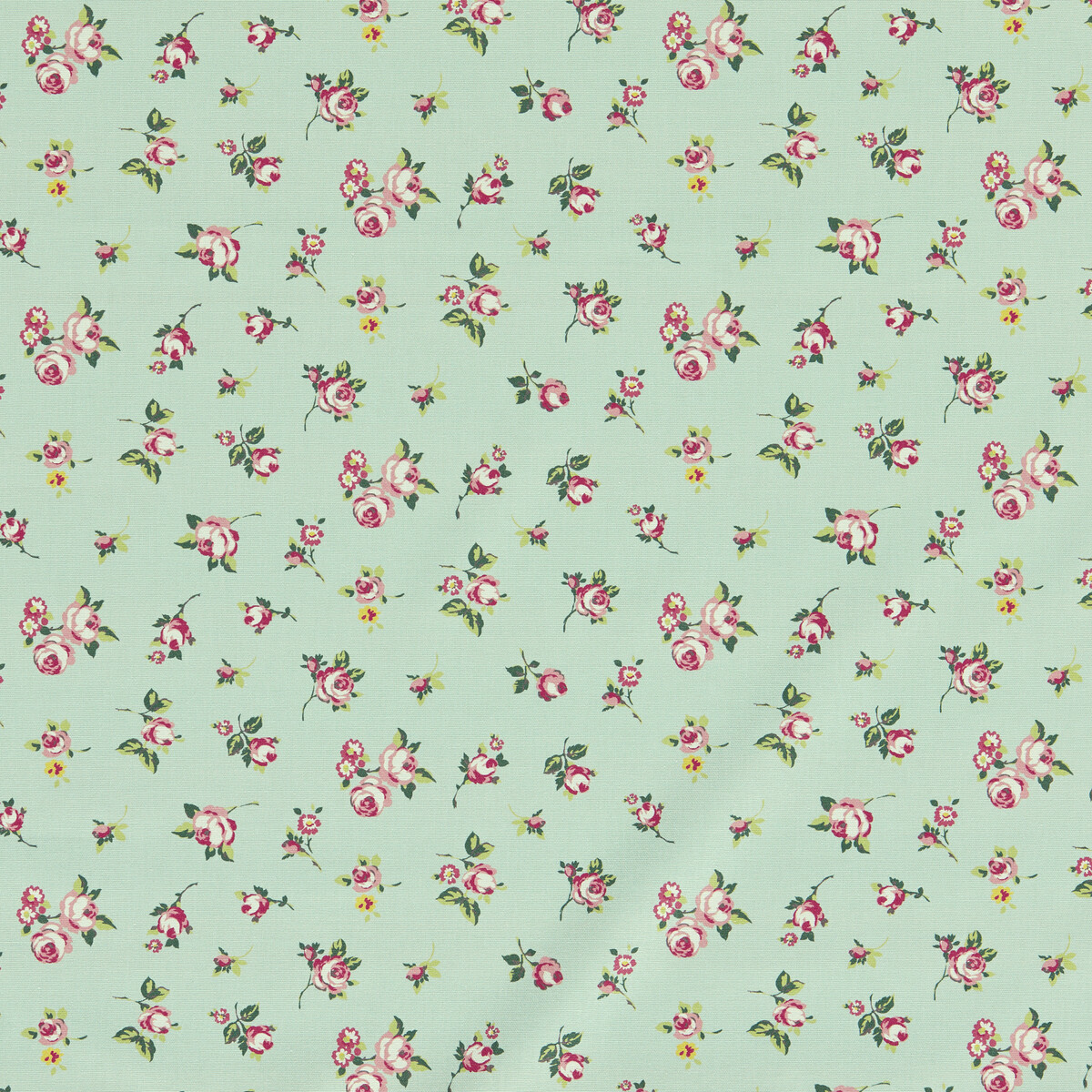 Rosebud F1785/03 CAC Mineral by   
