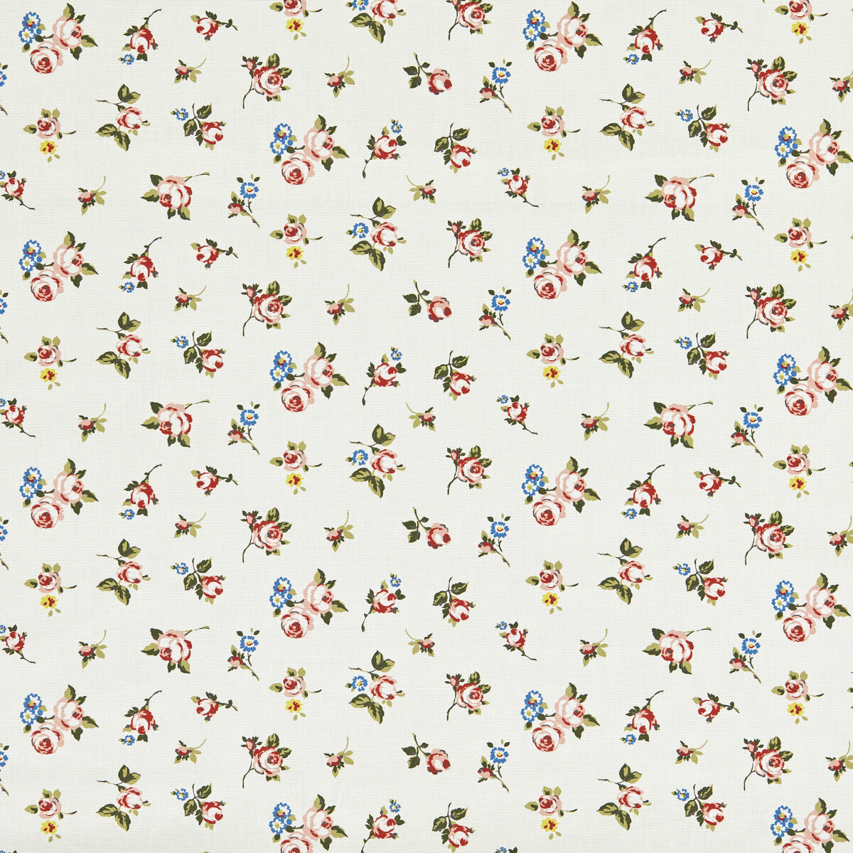 Rosebud F1785/04 CAC Spice by   