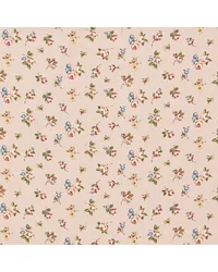 Rosebud F1785/01 CAC Blush by   