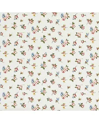 Rosebud F1785/04 CAC Spice by   