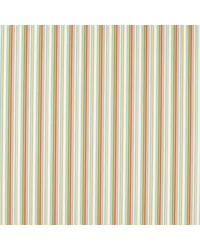 Tutti Fruity F1786/03 CAC Spice by   