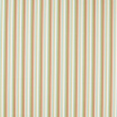 Clarke and Clarke TUTTI FRUITY SPICE