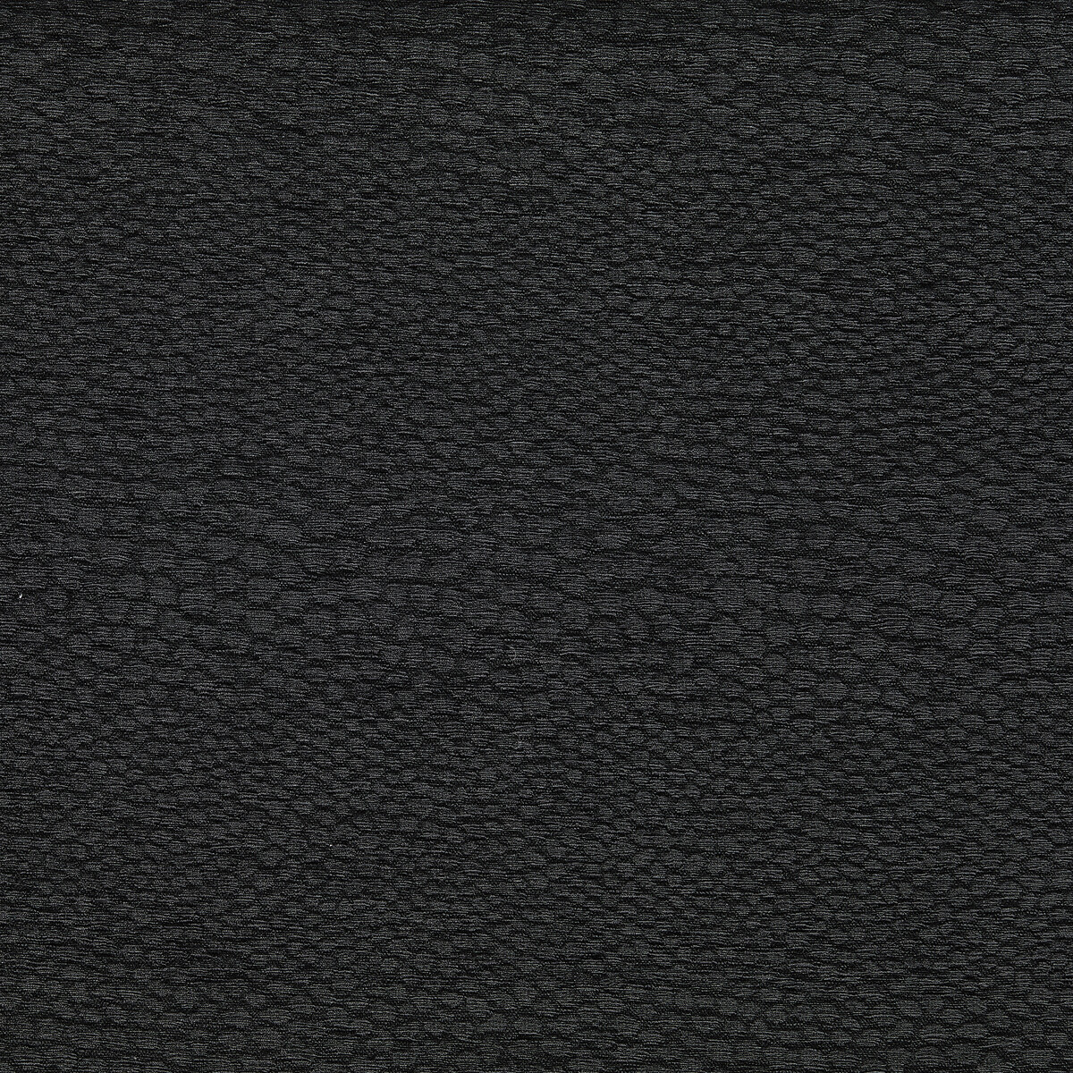 Castus F1788/02 CAC Ebony by   
